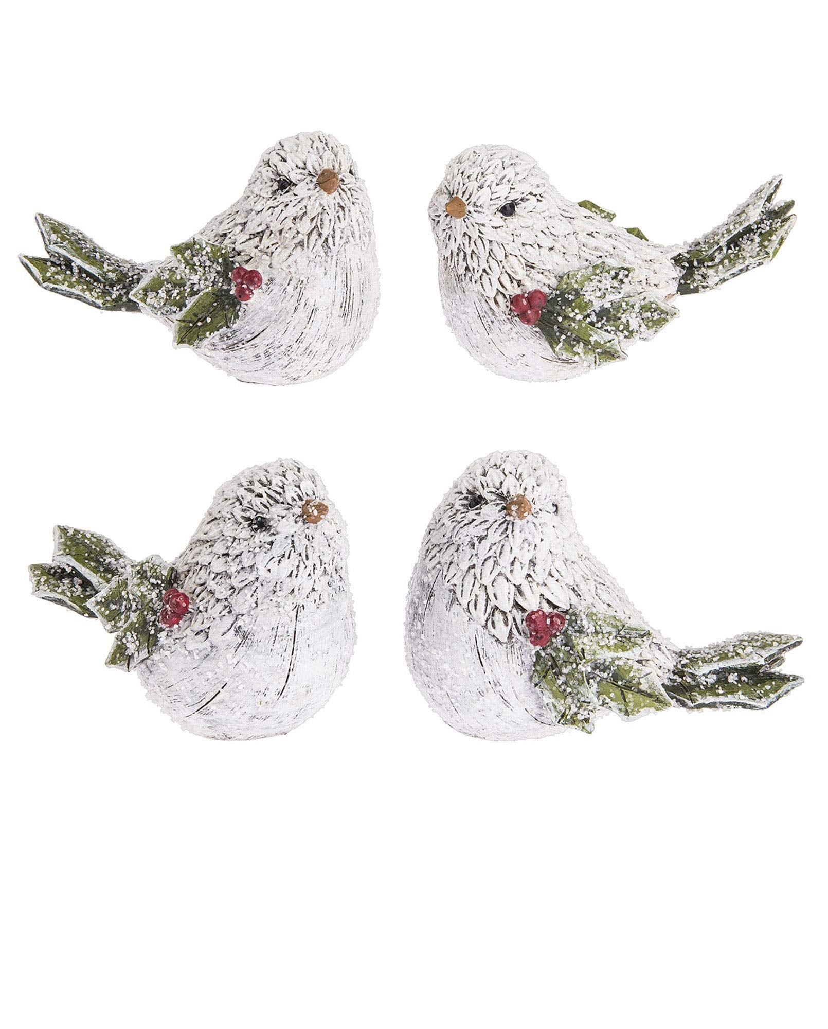 Evergreen Birds