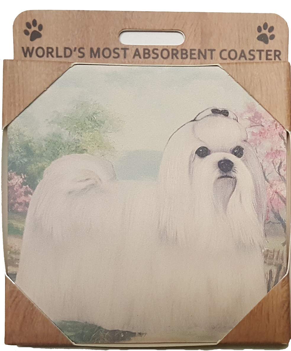 Maltese Tabletop Drink Coaster