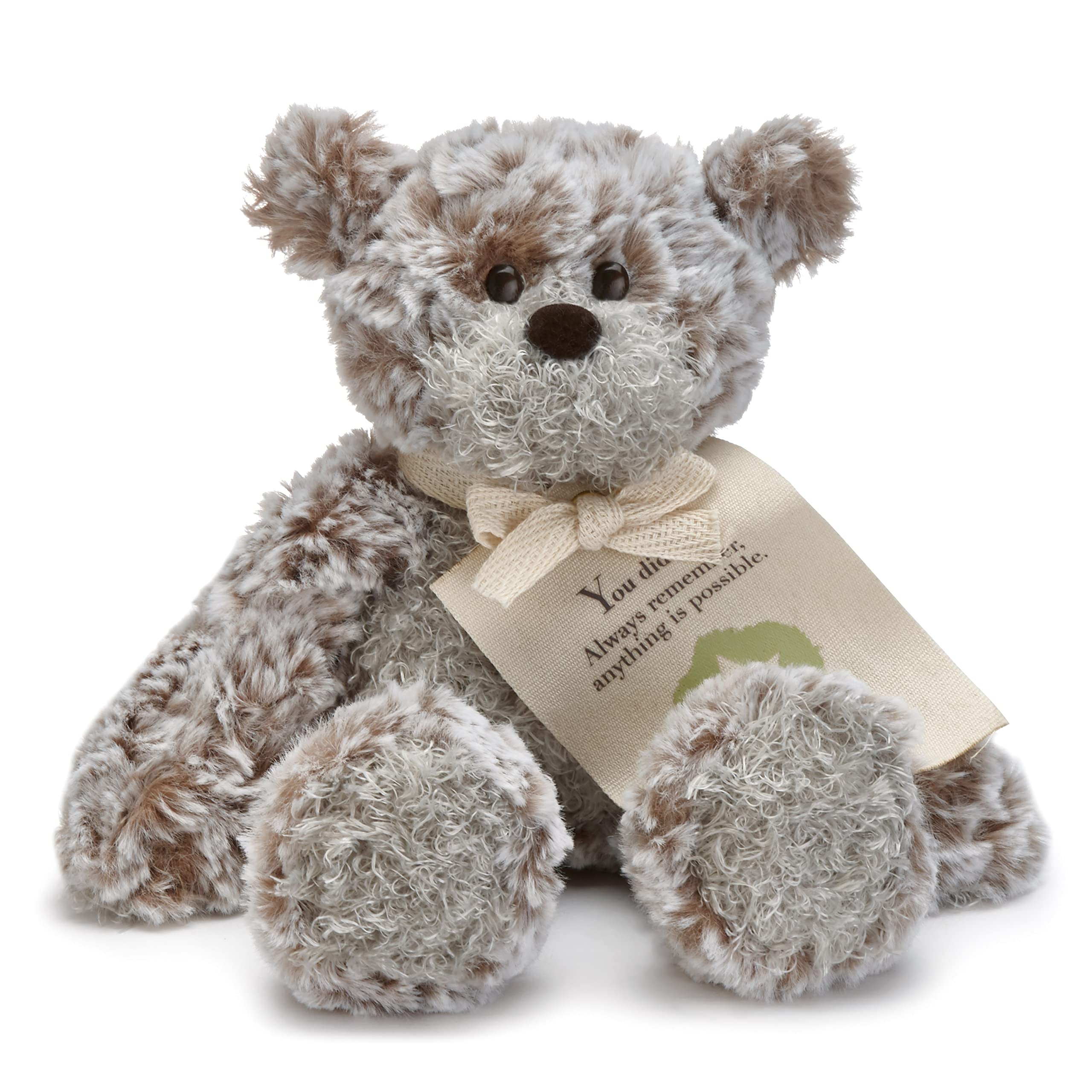 GIVING BEAR MINI U DID IT