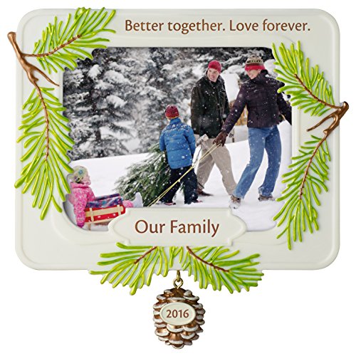 Hallmark Keepsake 2016 "Our Family, Better Together" Dated Picture Frame Holiday Ornament