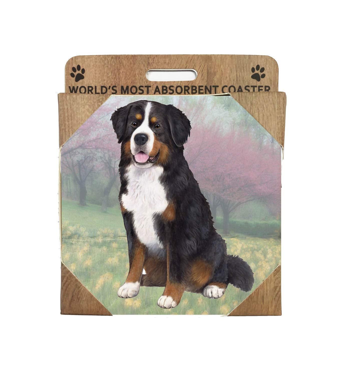 Bernese Mountain Dog Coaster