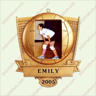 EVERY KID'S A STAR - VOLLEYBALL 2005 Hallmark Ornament QXG4765