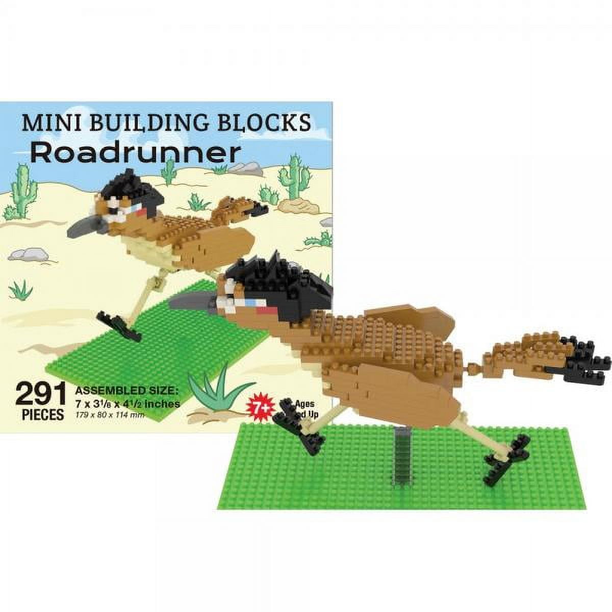 ROADRUNNER BUILDING BLOCK