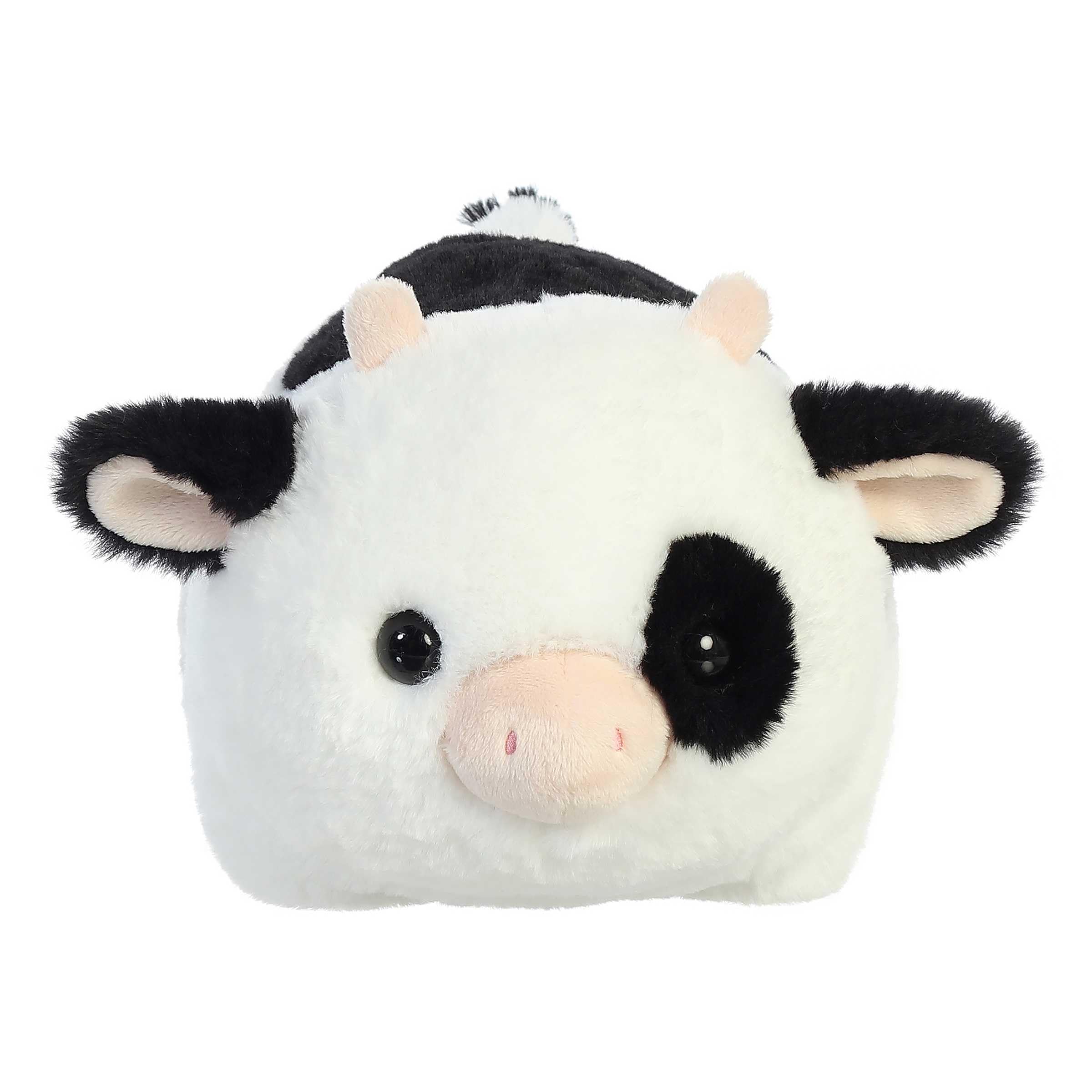 21 SPUD TUTUIE COW
