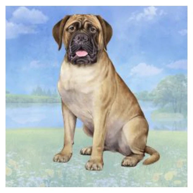 Bullmastiff Coaster