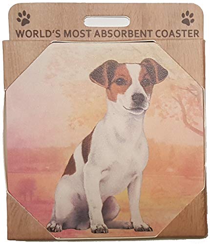 Jack Russell Coaster