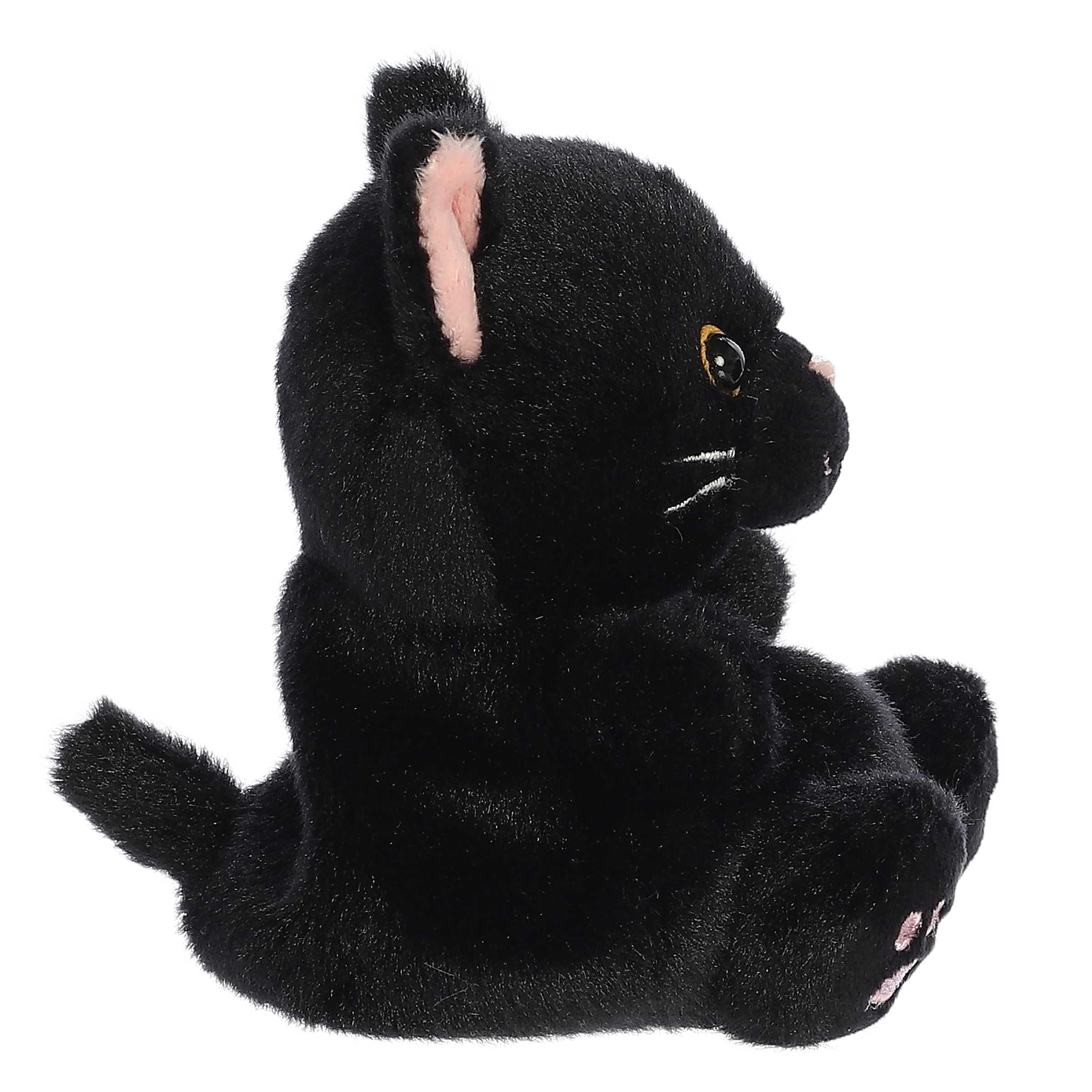 TWILIGHT BLACK CAT