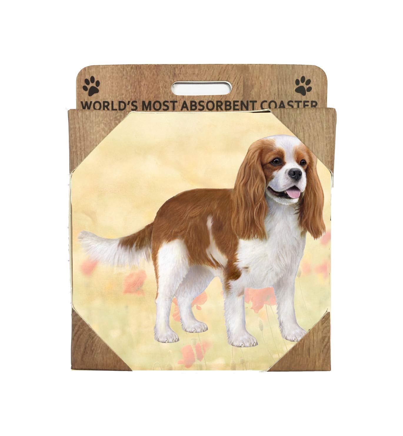 Cavalier King Charles Coaster