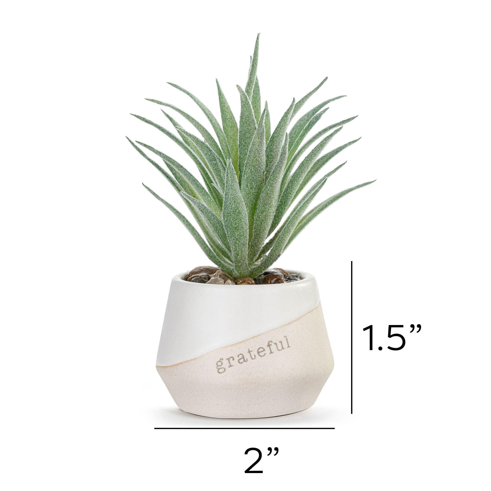 DEMDACO Grateful Just Because Artificial White 2 x 1.5 Stoneware Mini Succulent