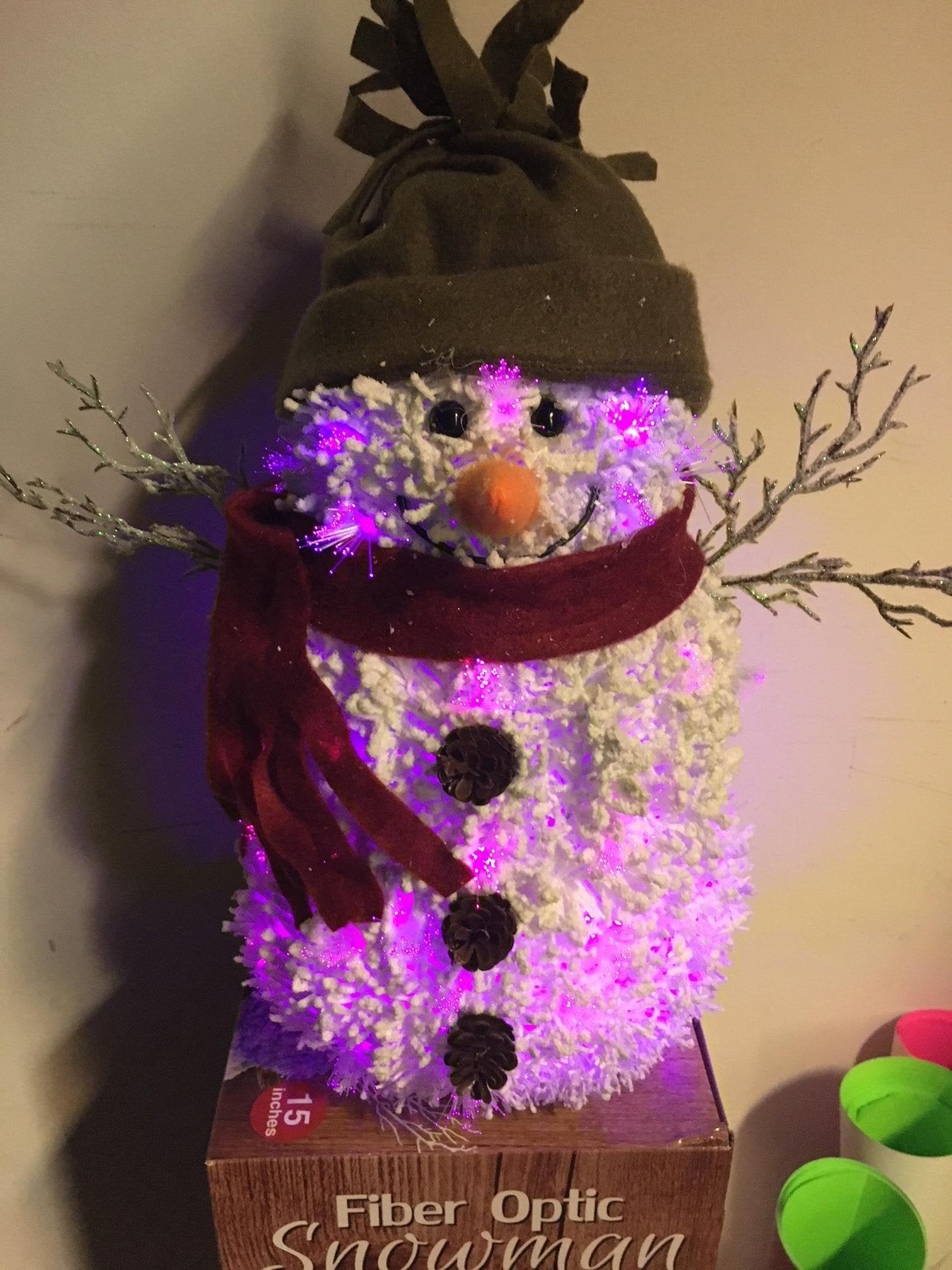 Opportunities 15" Fiber Optic Snowman