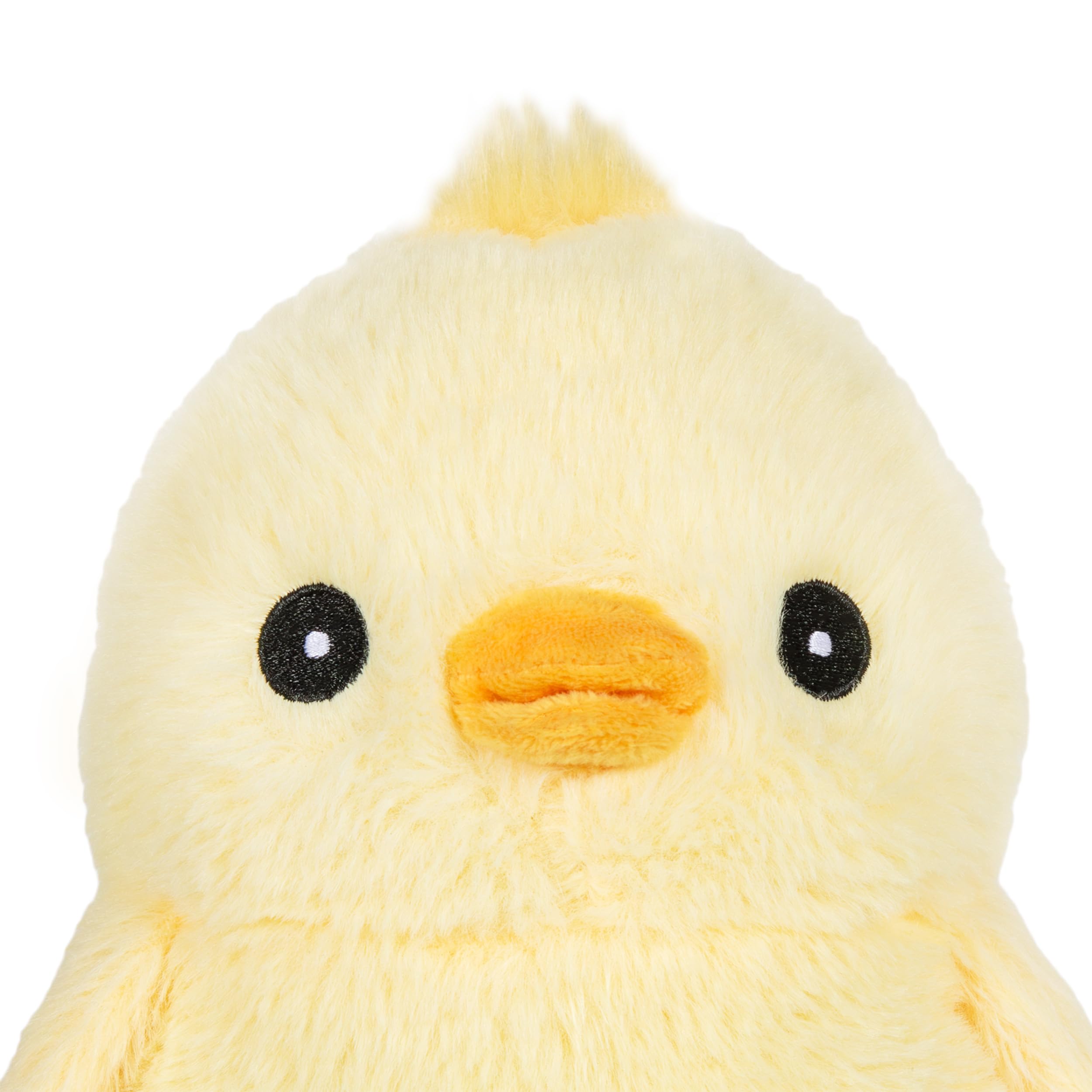WARM PALS SPR ING CHICK