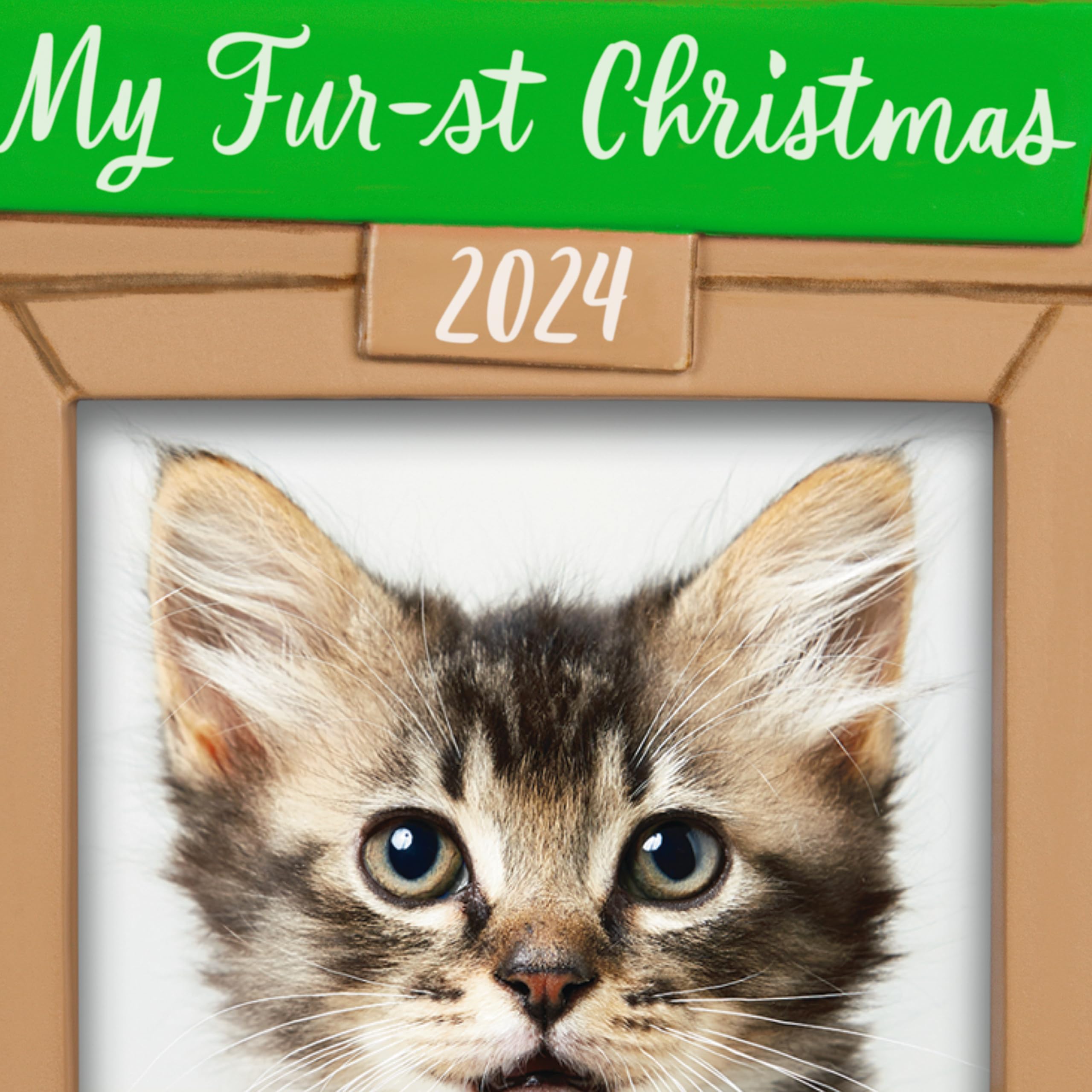 Hallmark Keepsake Christmas Ornament 2024, Pet's Fur-st Christmas 2024 Photo Frame, Pet Gifts