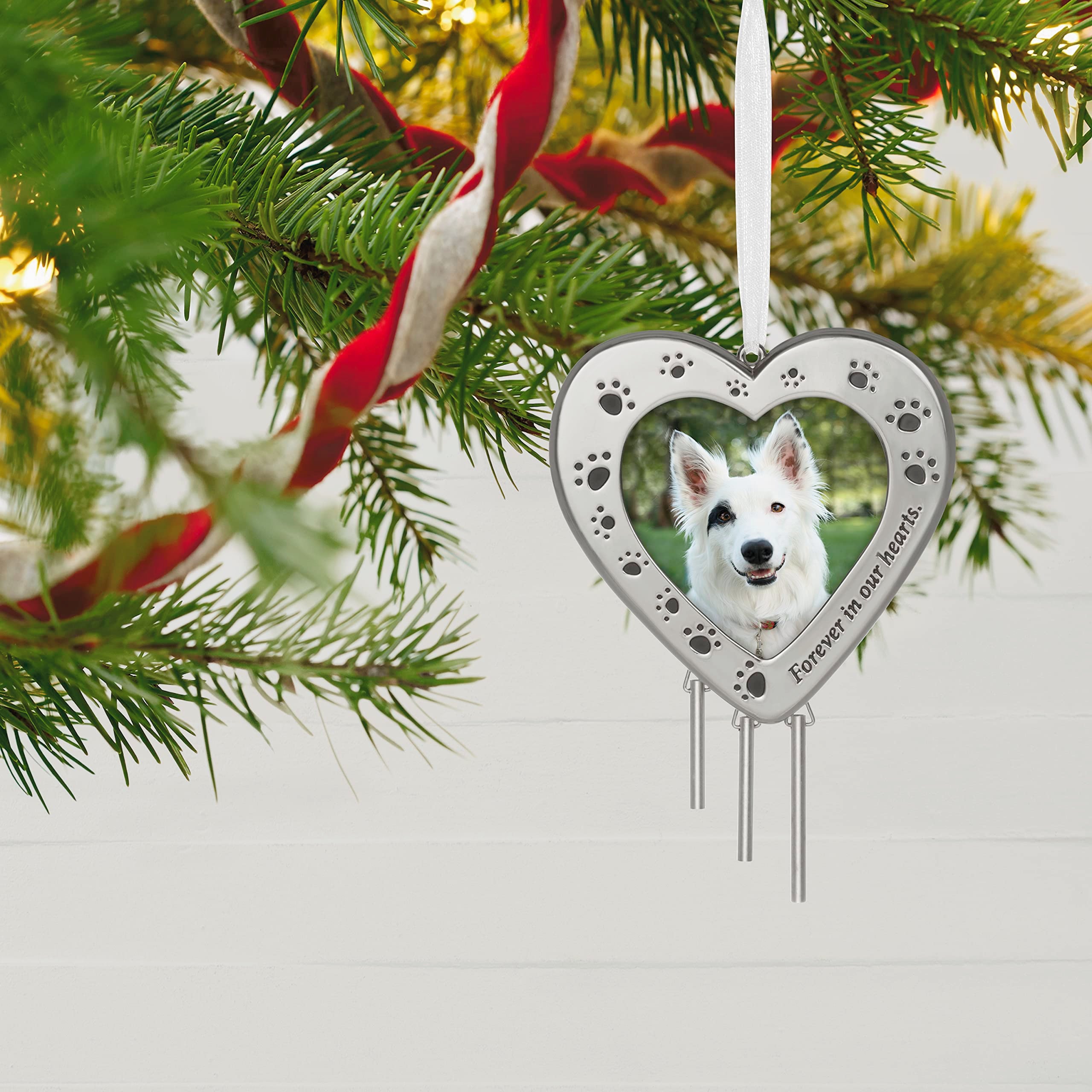 Hallmark Keepsake Christmas Ornament 2023, Forever in Our Hearts, Pet Memorial Picture Frame Ornament