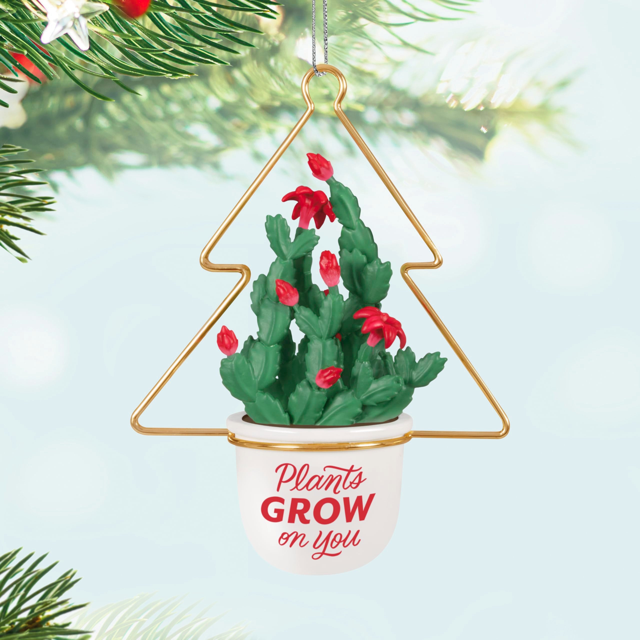 Plants Grow on You 2025 Hallmark Keepsake Christmas Ornament