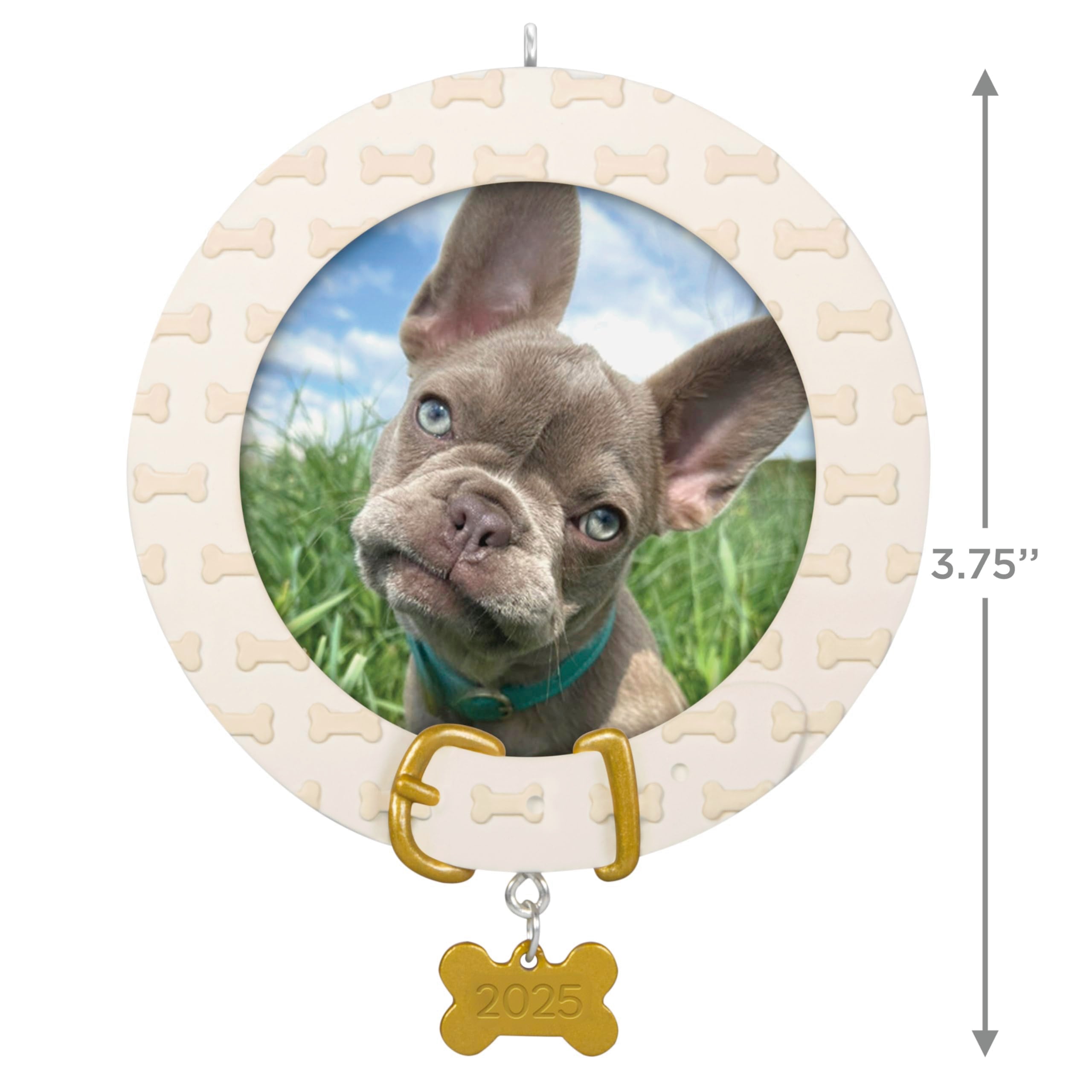 Faithful Friend 2025 Hallmark Keepsake Christmas Ornament