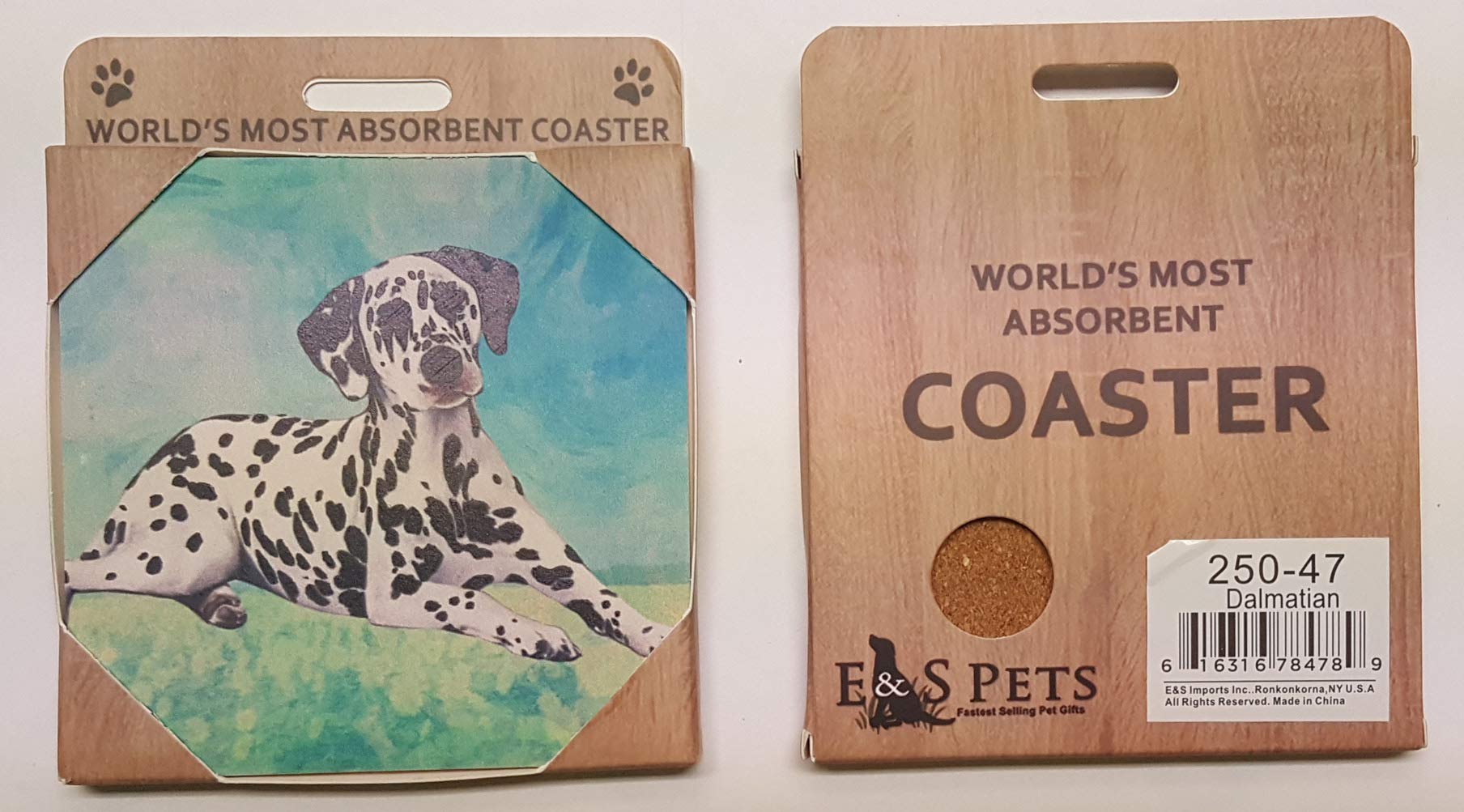 Dalmatian Coaster