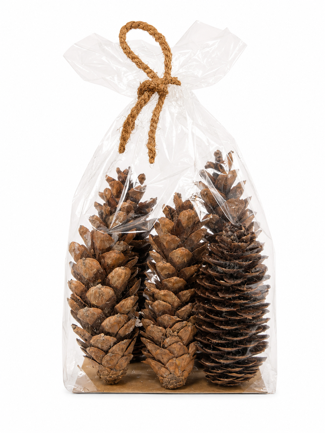 Decorative Large Natural Pinecones Pack