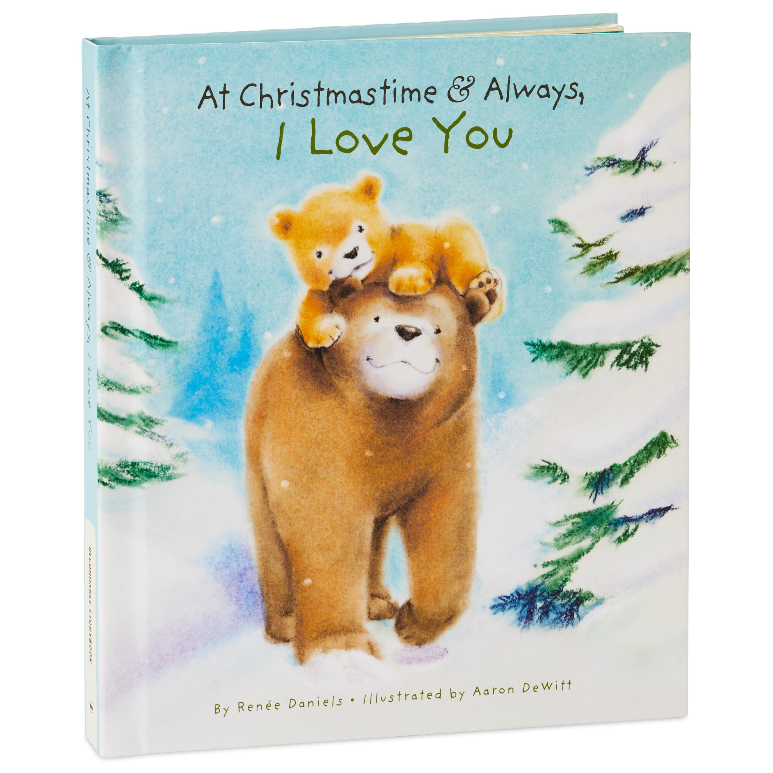 At Christmastime & Always, I Love You Recordable Storybook