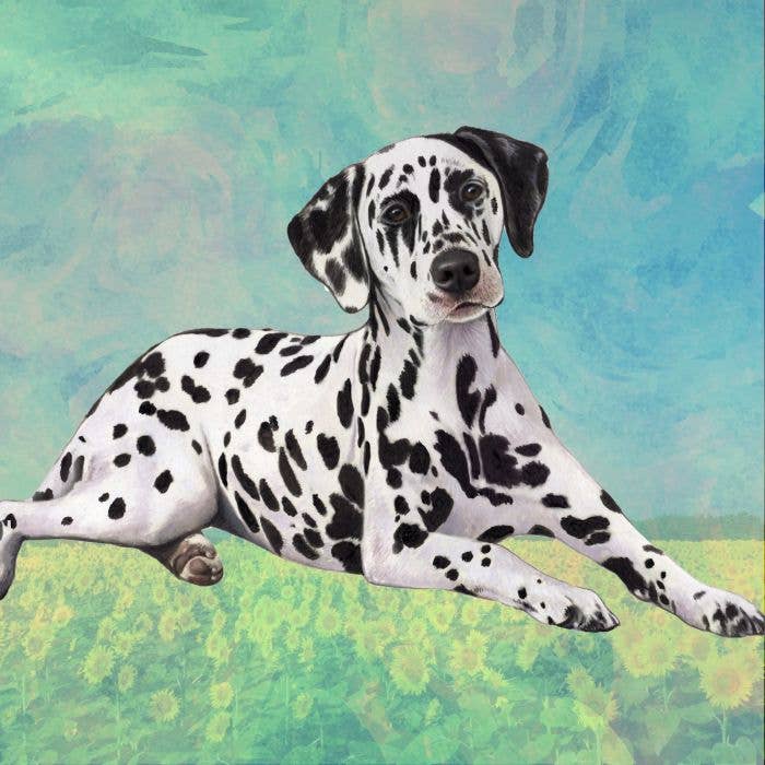 Dalmatian Coaster