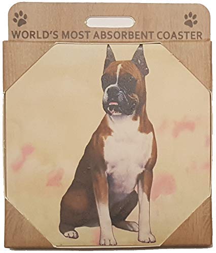 Boxer Coaster