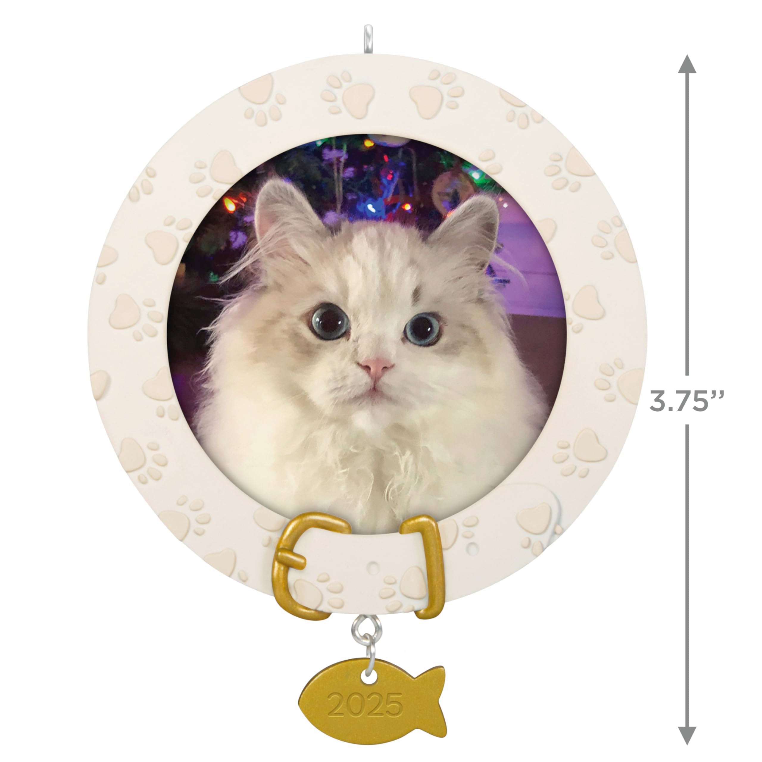 Furry Friend 2025 Hallmark Keepsake Christmas Ornament