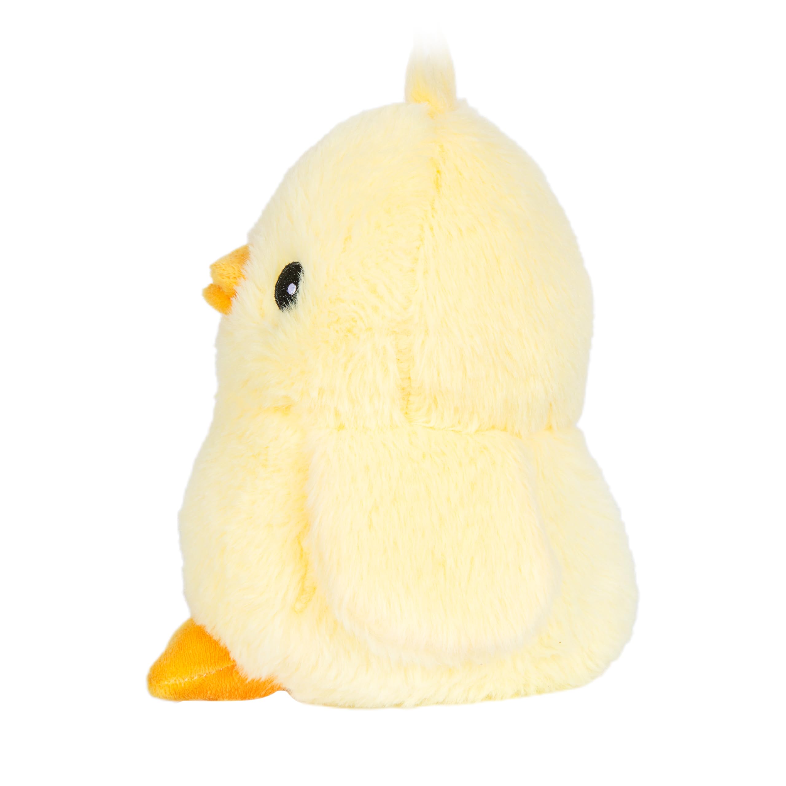 WARM PALS SPR ING CHICK