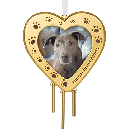 Hallmark Keepsake Christmas Ornament 2022, Forever Friend Pet Memorial Ornament for Dog or Cat Picture Frame, Metal