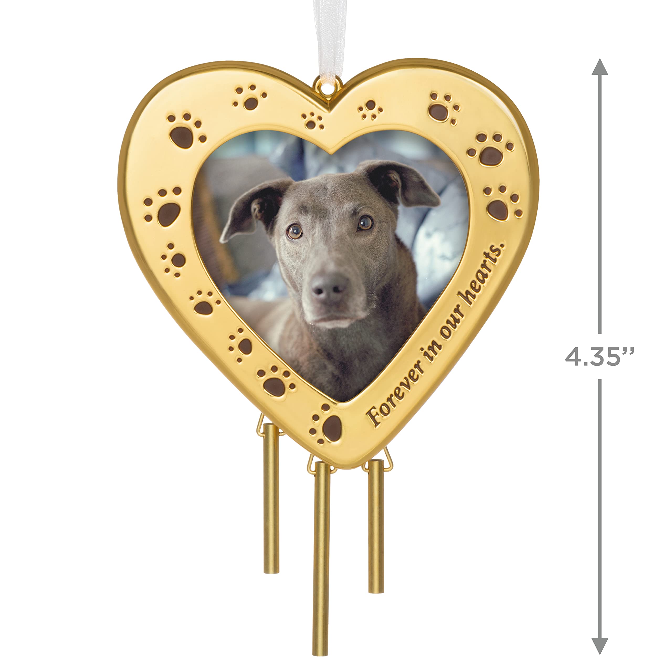 Hallmark Keepsake Ornament (Forever Friend Metal Photo Frame Pet Memorial)