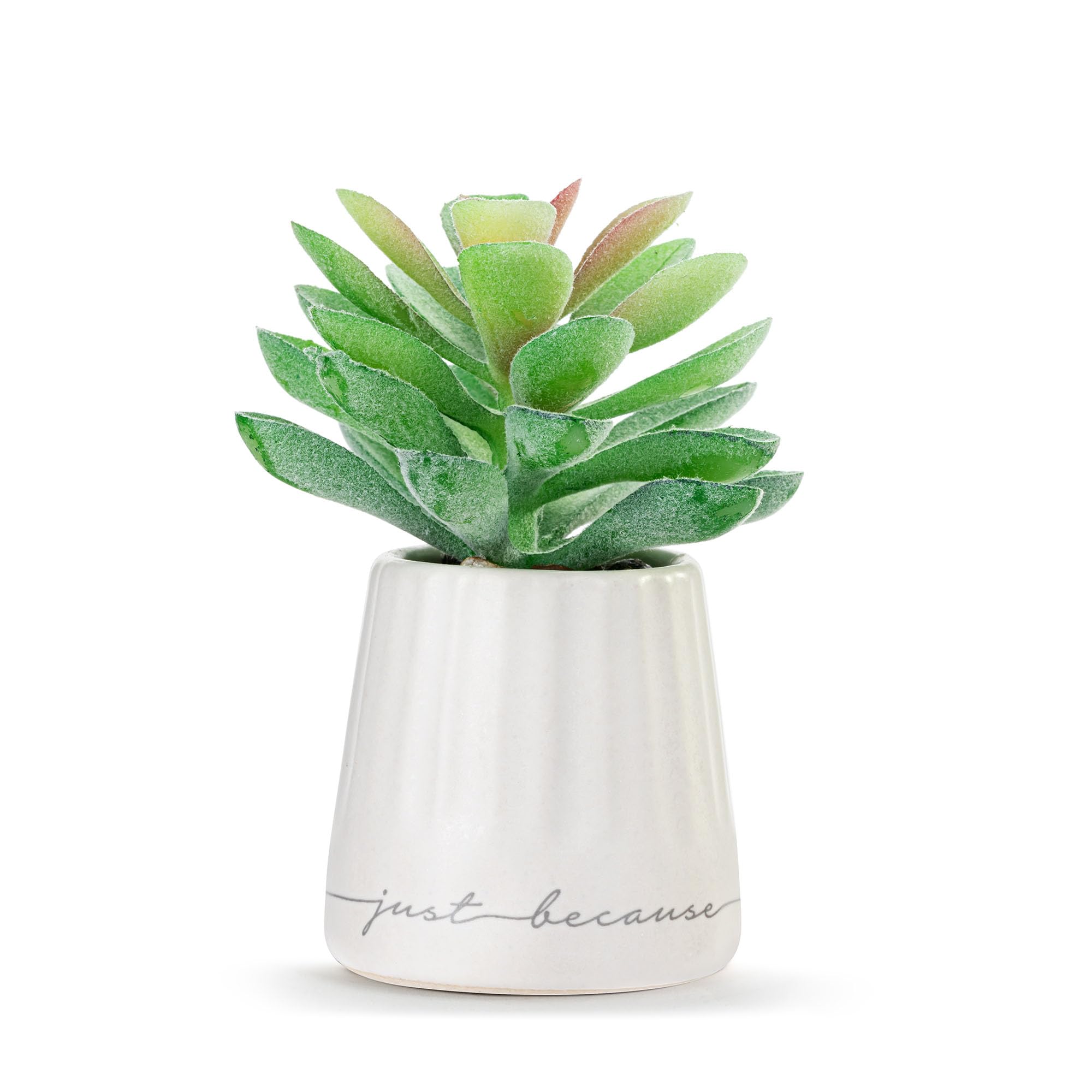 DEMDACO XO Just Because Modern Design White 2 x 1.5 Stoneware Artificial Mini Succulent