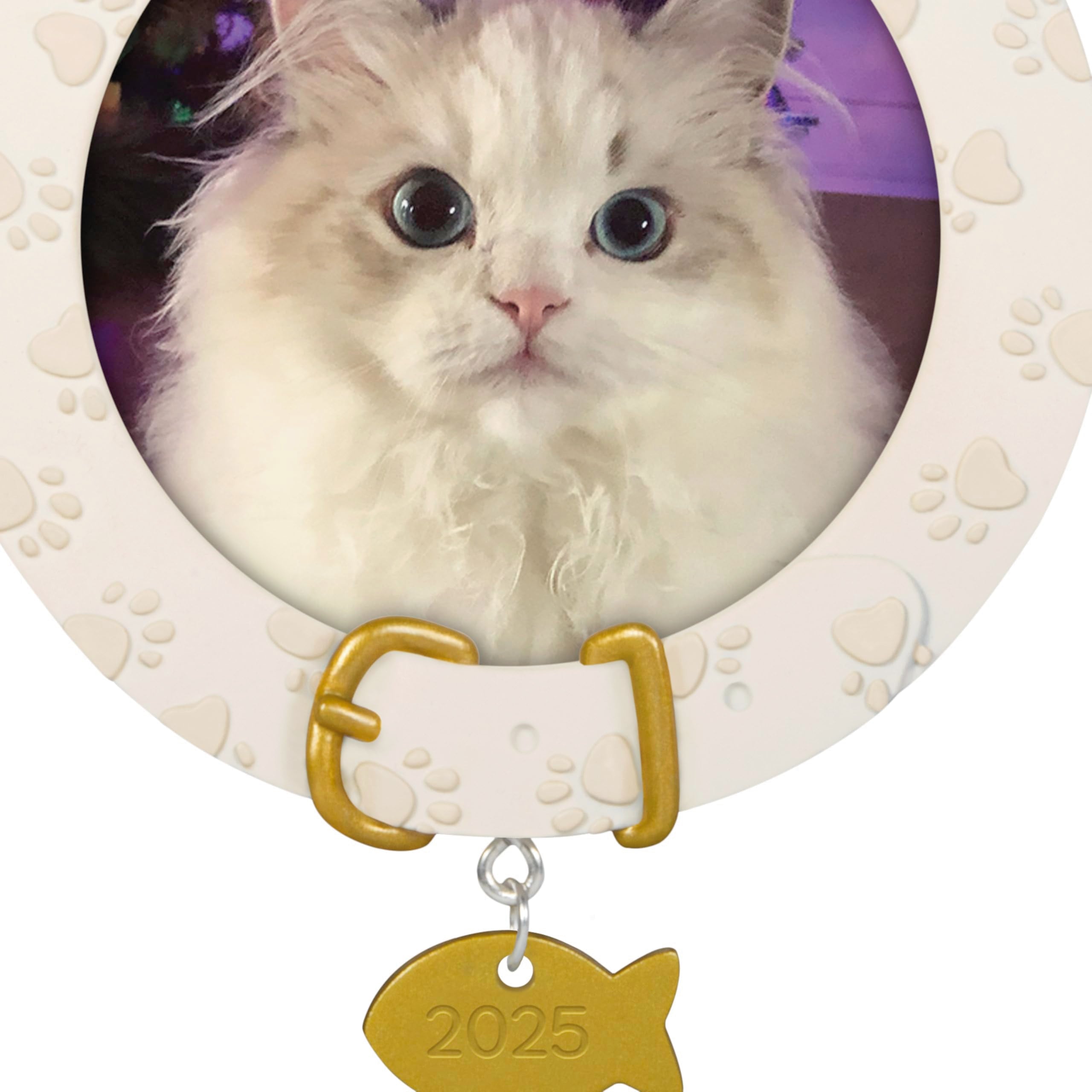 Furry Friend 2025 Hallmark Keepsake Christmas Ornament