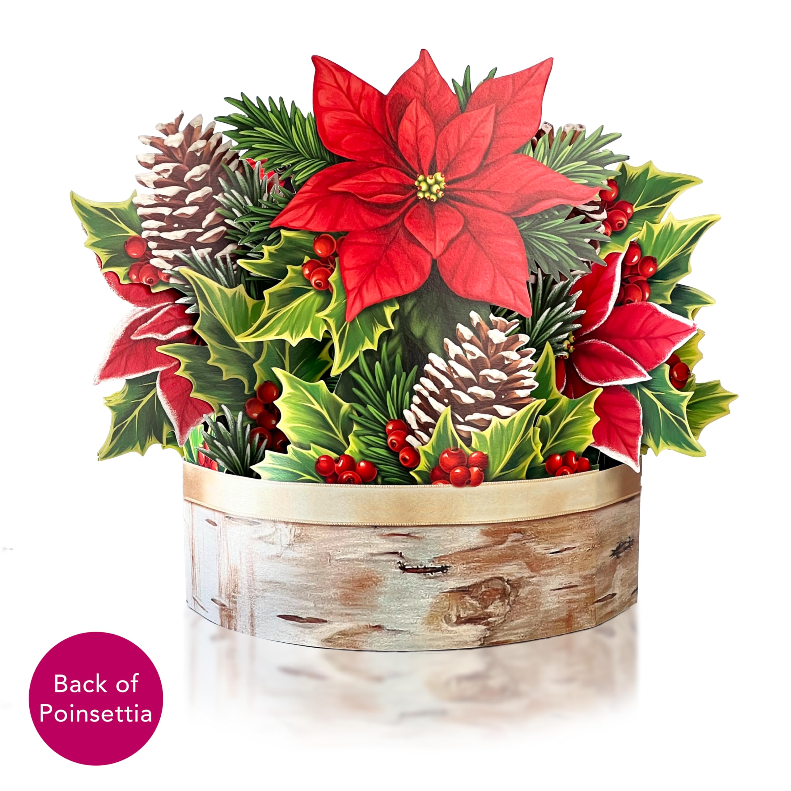 Birch Pot Poinsettia