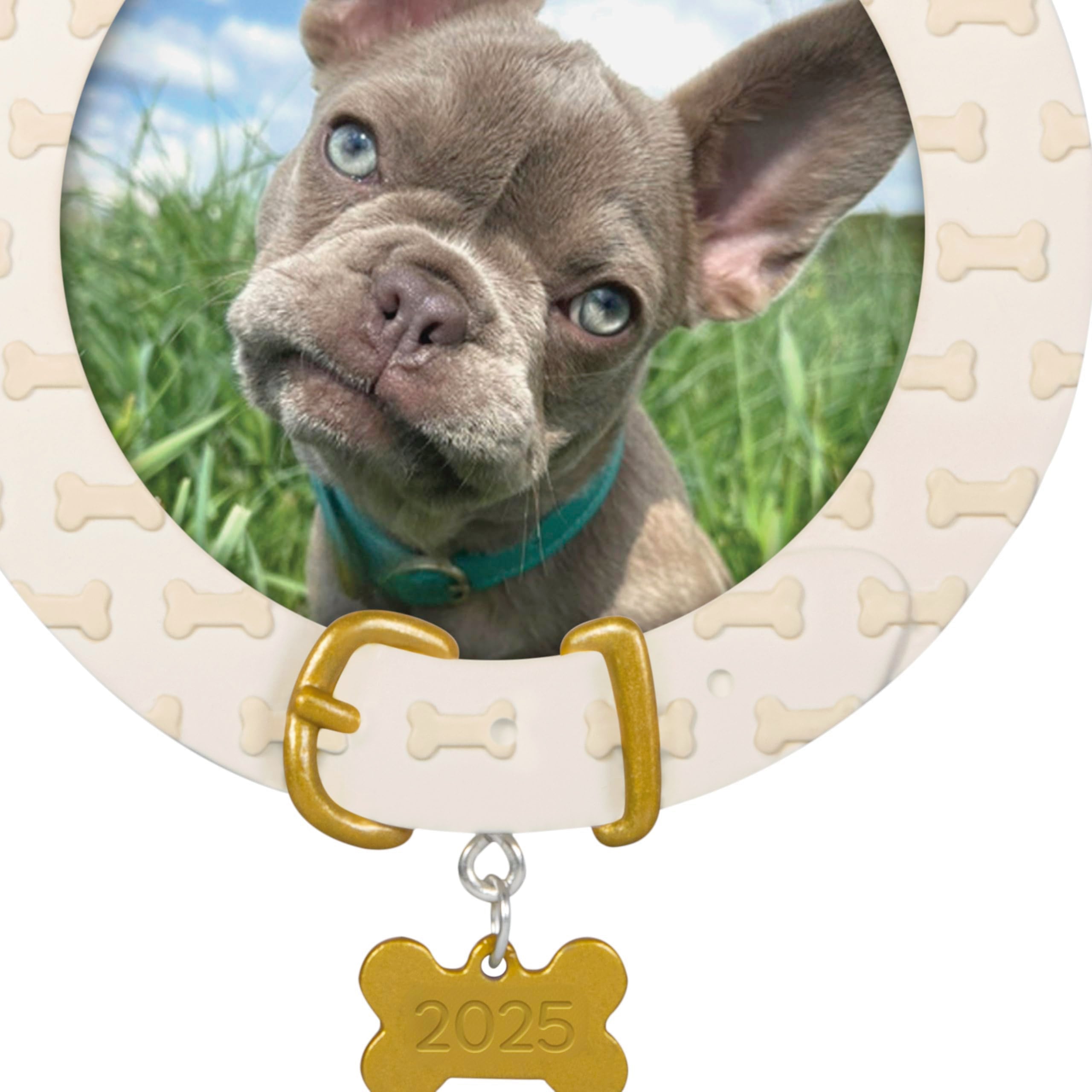 Faithful Friend 2025 Hallmark Keepsake Christmas Ornament