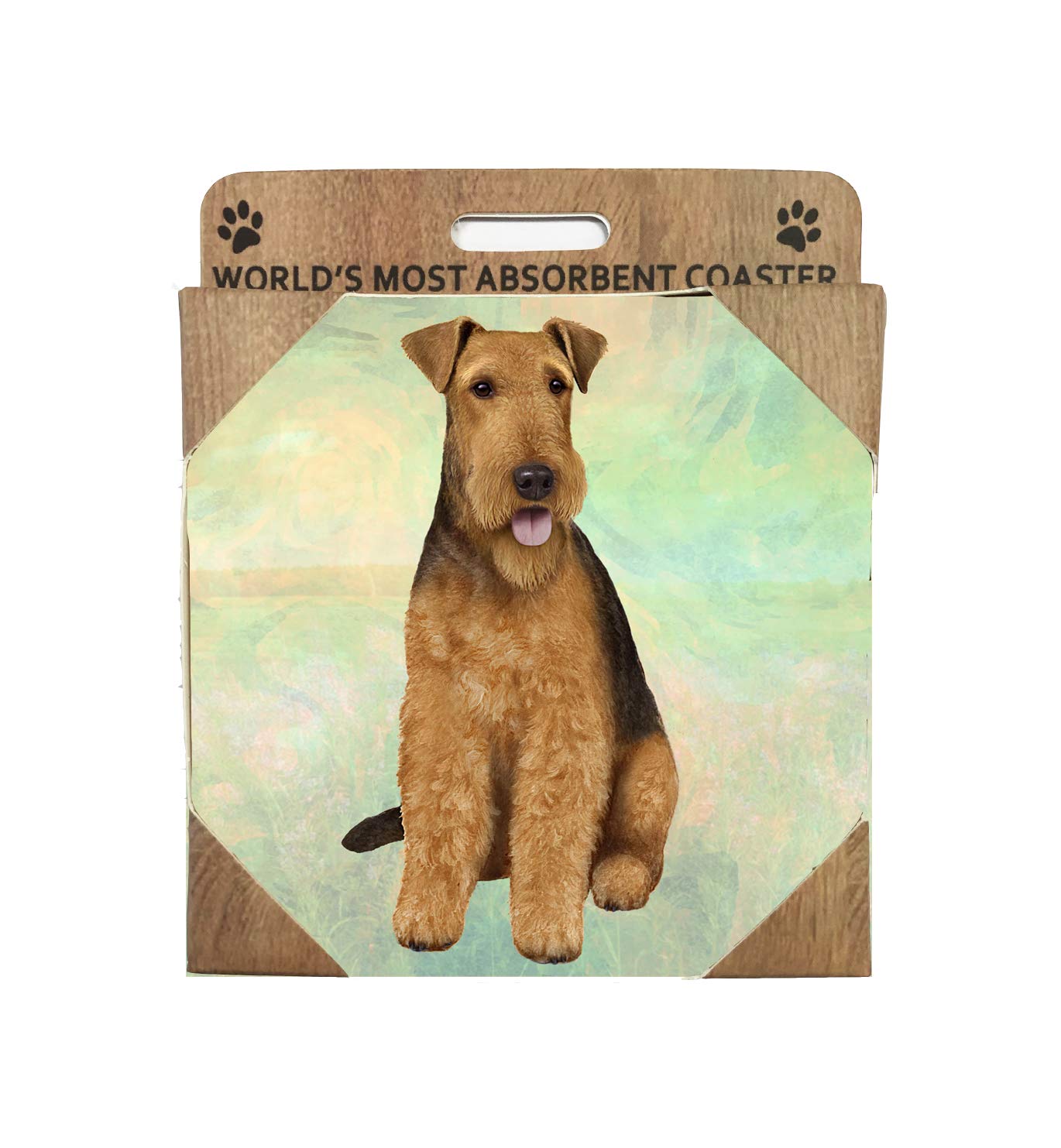 Airedale Coaster