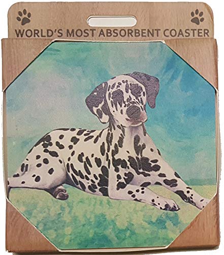 Dalmatian Coaster