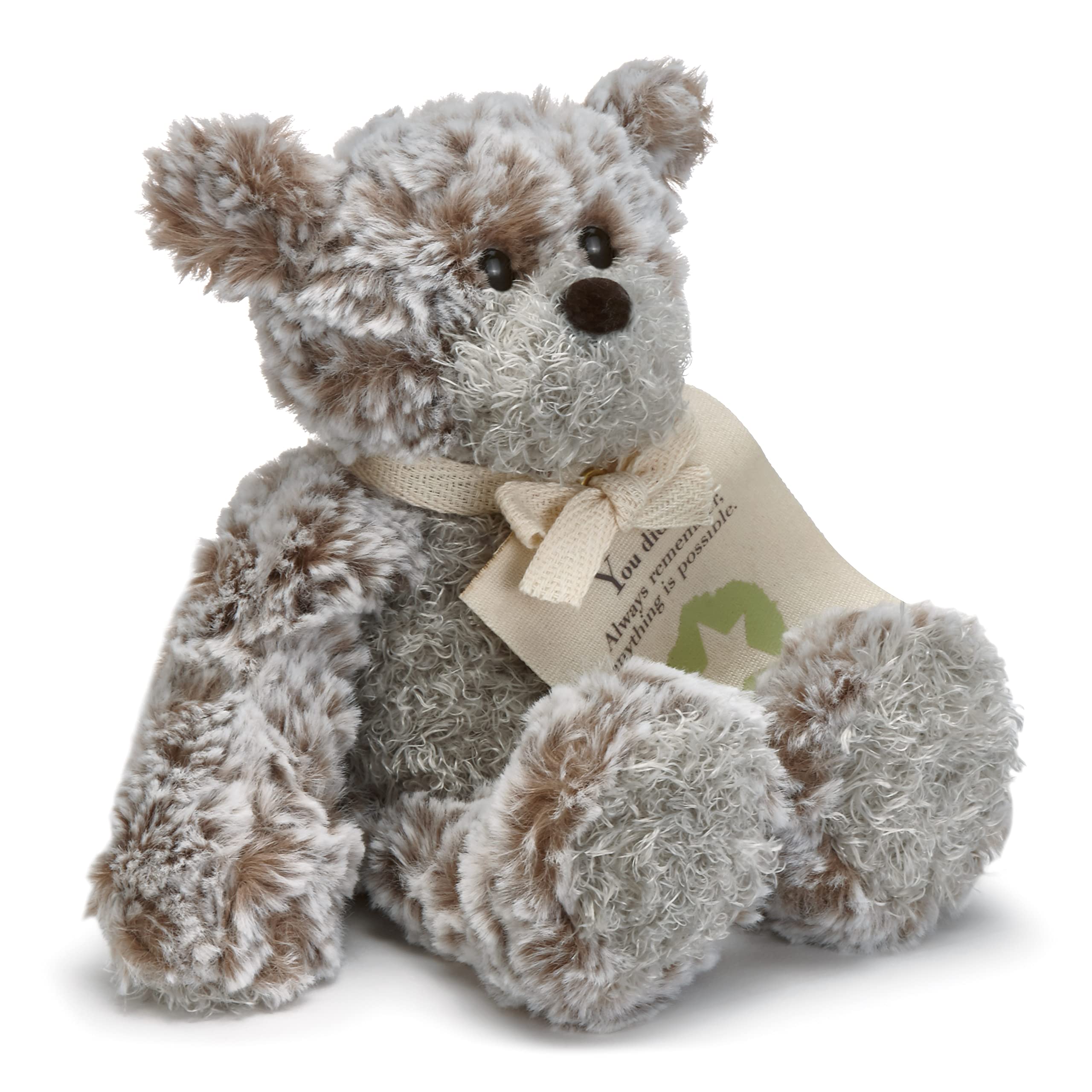 GIVING BEAR MINI U DID IT