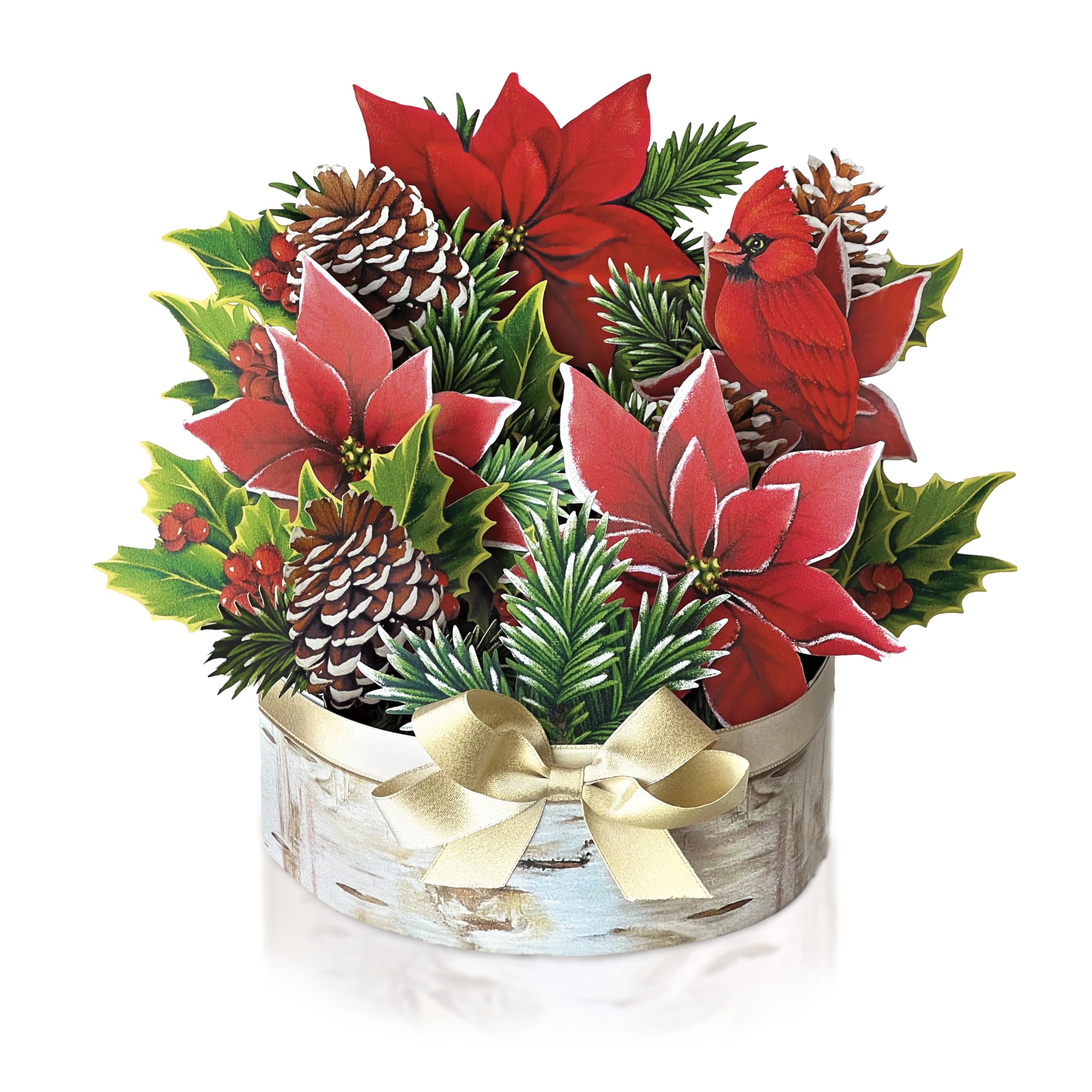 Birch Pot Poinsettia