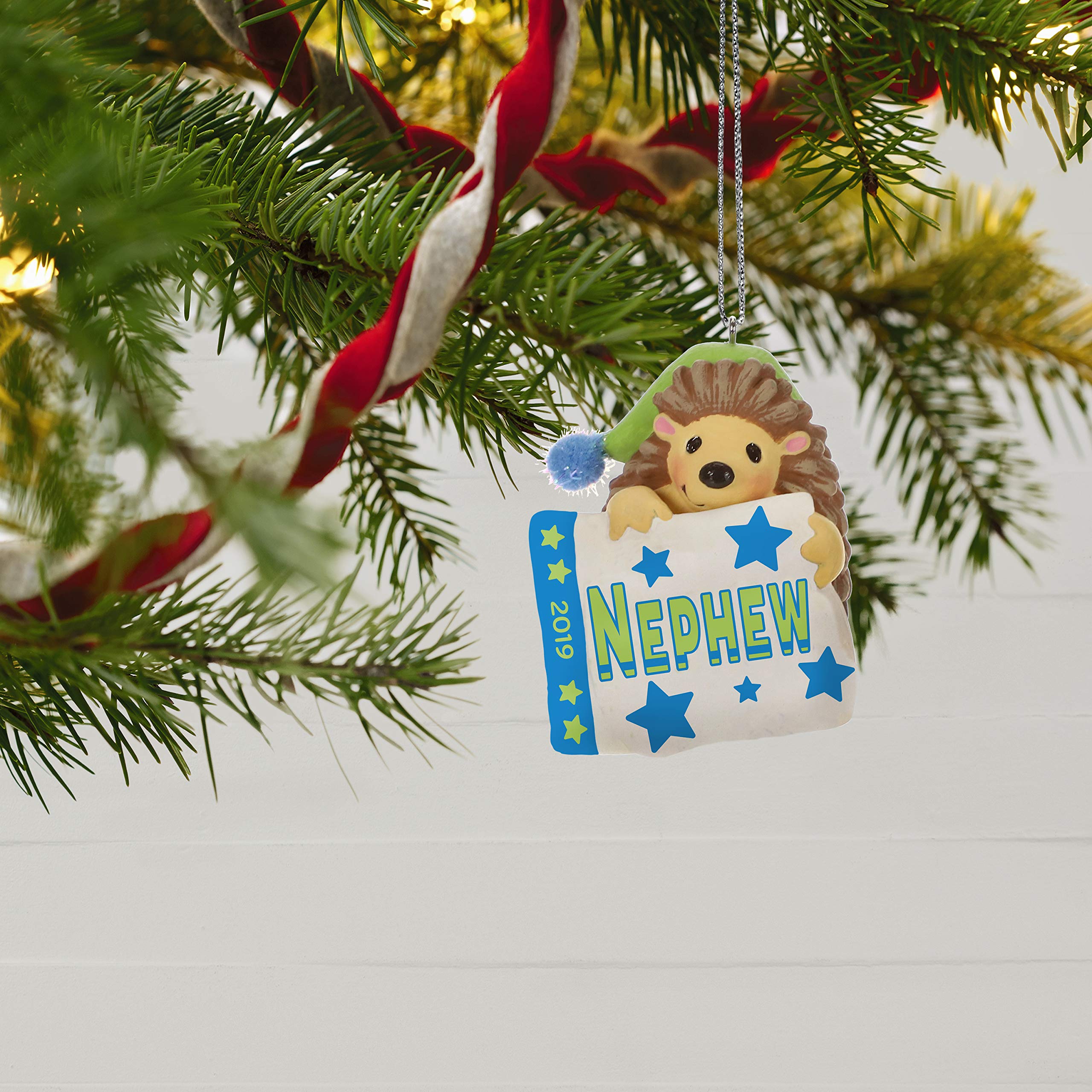 Hallmark Keepsake Christmas Ornament 2019 Year Dated, Nephew Hedgehog