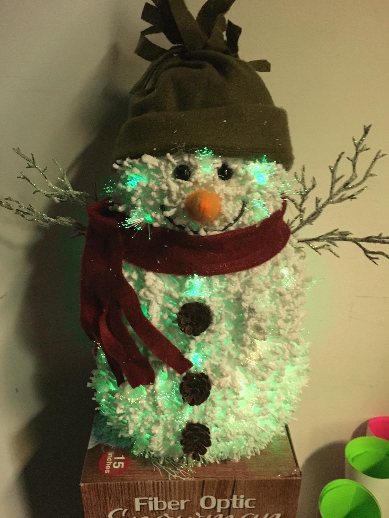 Opportunities 15" Fiber Optic Snowman