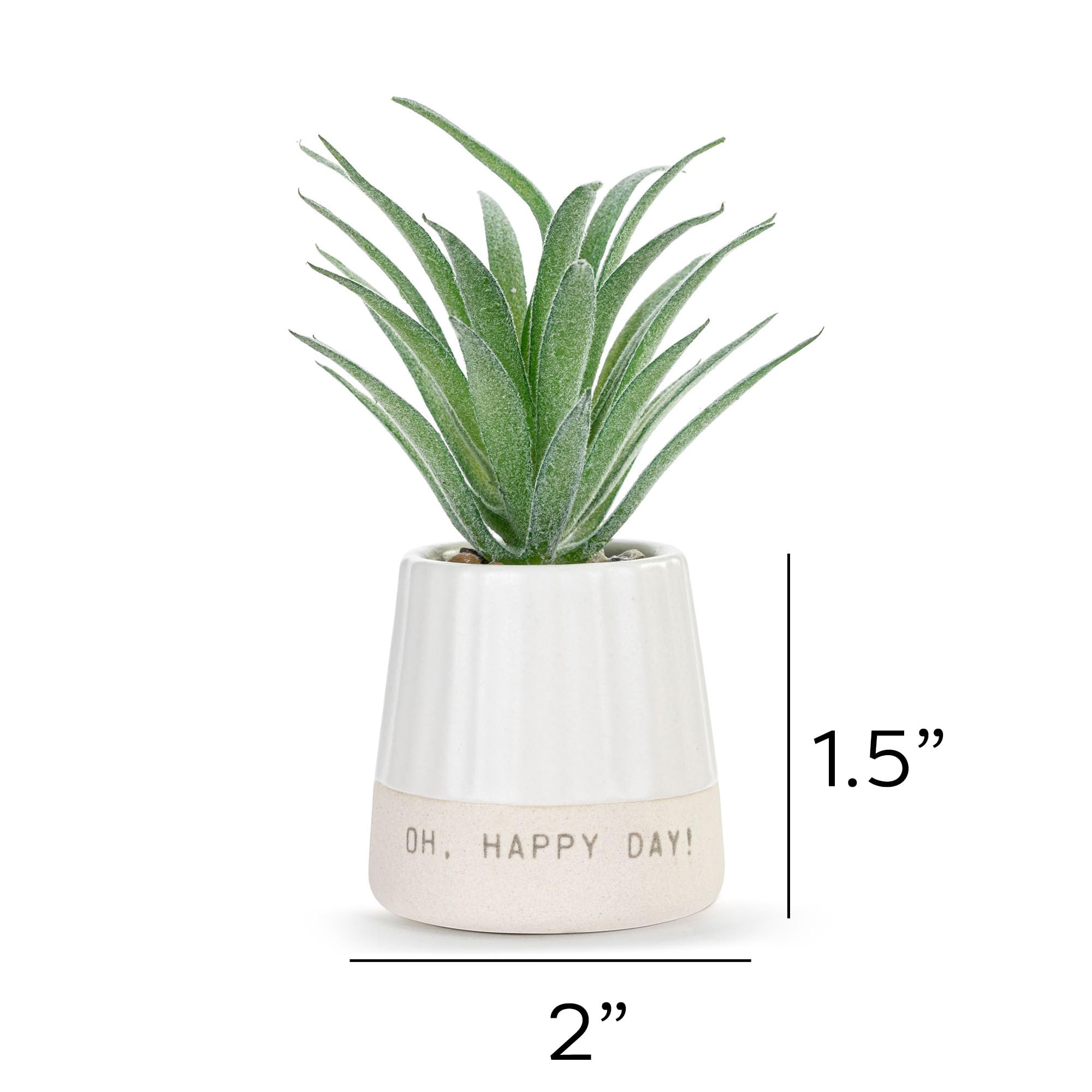 DEMDACO Happy Day Just Because Artificial White 2 x 1.5 Stoneware Mini Succulent