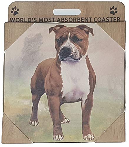 Pit Bull Coaster