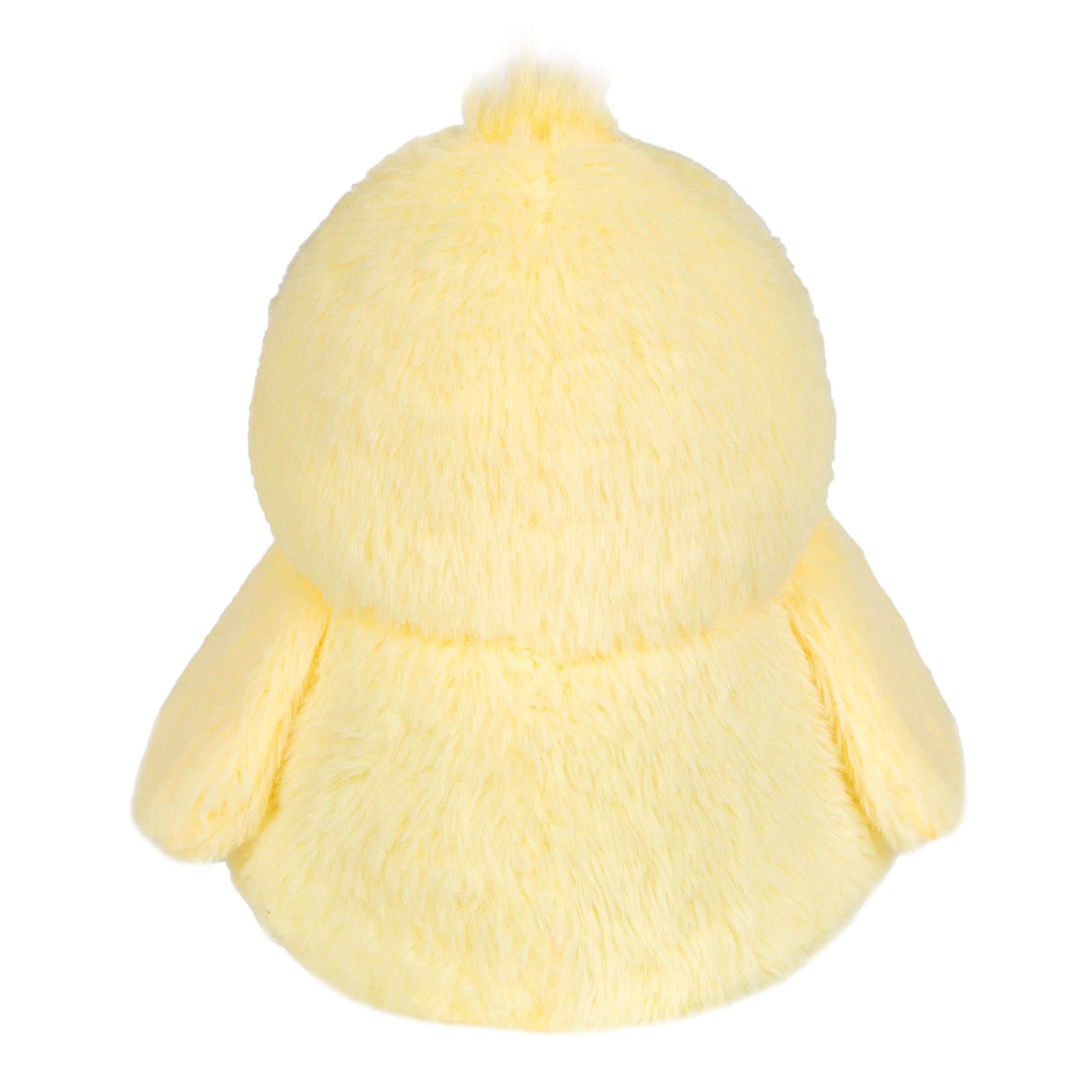 WARM PALS SPR ING CHICK