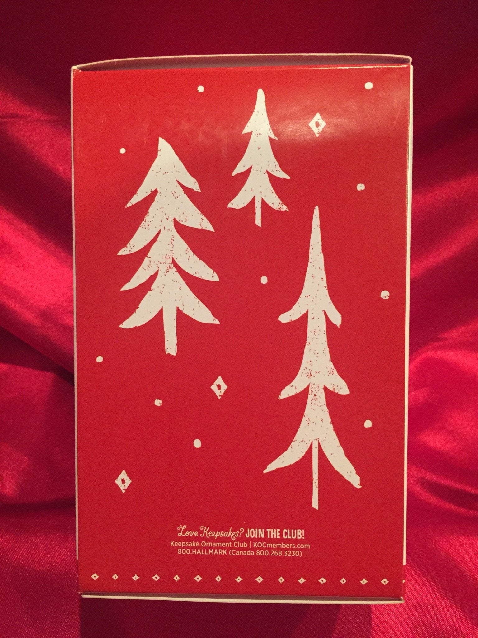 Hallmark QXI2787 Keepsake Ornament Plastic 2015 Celebration Holiday