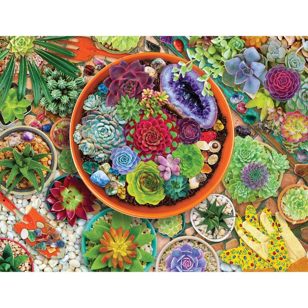 Springbok 500 Piece Jigsaw Puzzle Succulent Garden - Made in USA