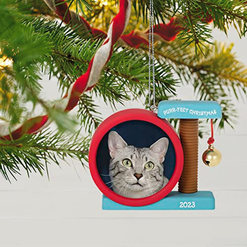 Hallmark Keepsake Christmas Ornament 2023, Purr-fect Christmas Photo Frame