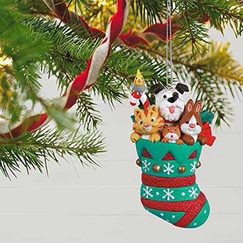 Hallmark Keepsake Christmas Ornament 2021, Stocking Stuffers Pets