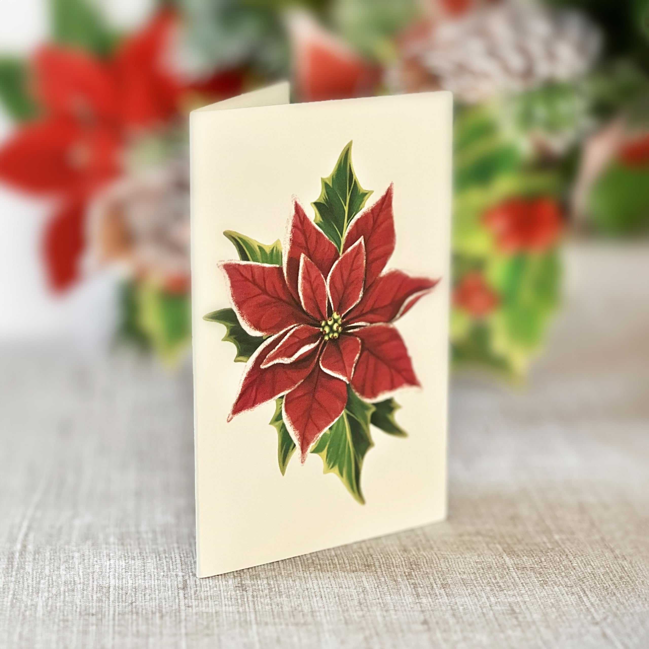 Birch Pot Poinsettia