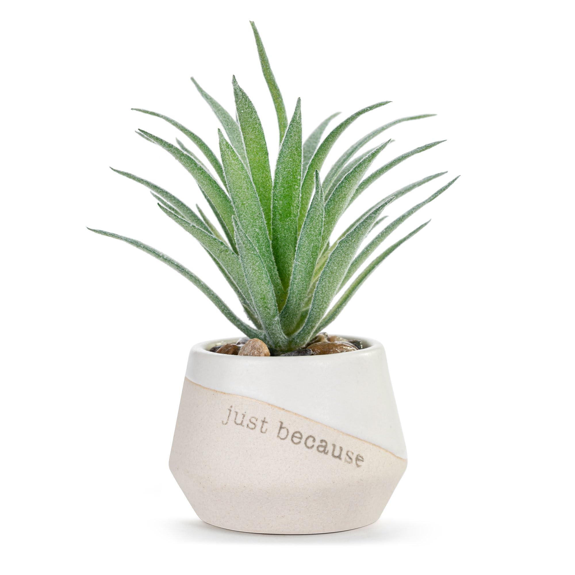 DEMDACO Grateful Just Because Artificial White 2 x 1.5 Stoneware Mini Succulent