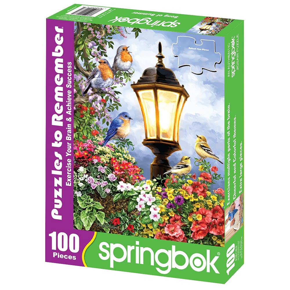 SONG OF SUMMER 100 PC