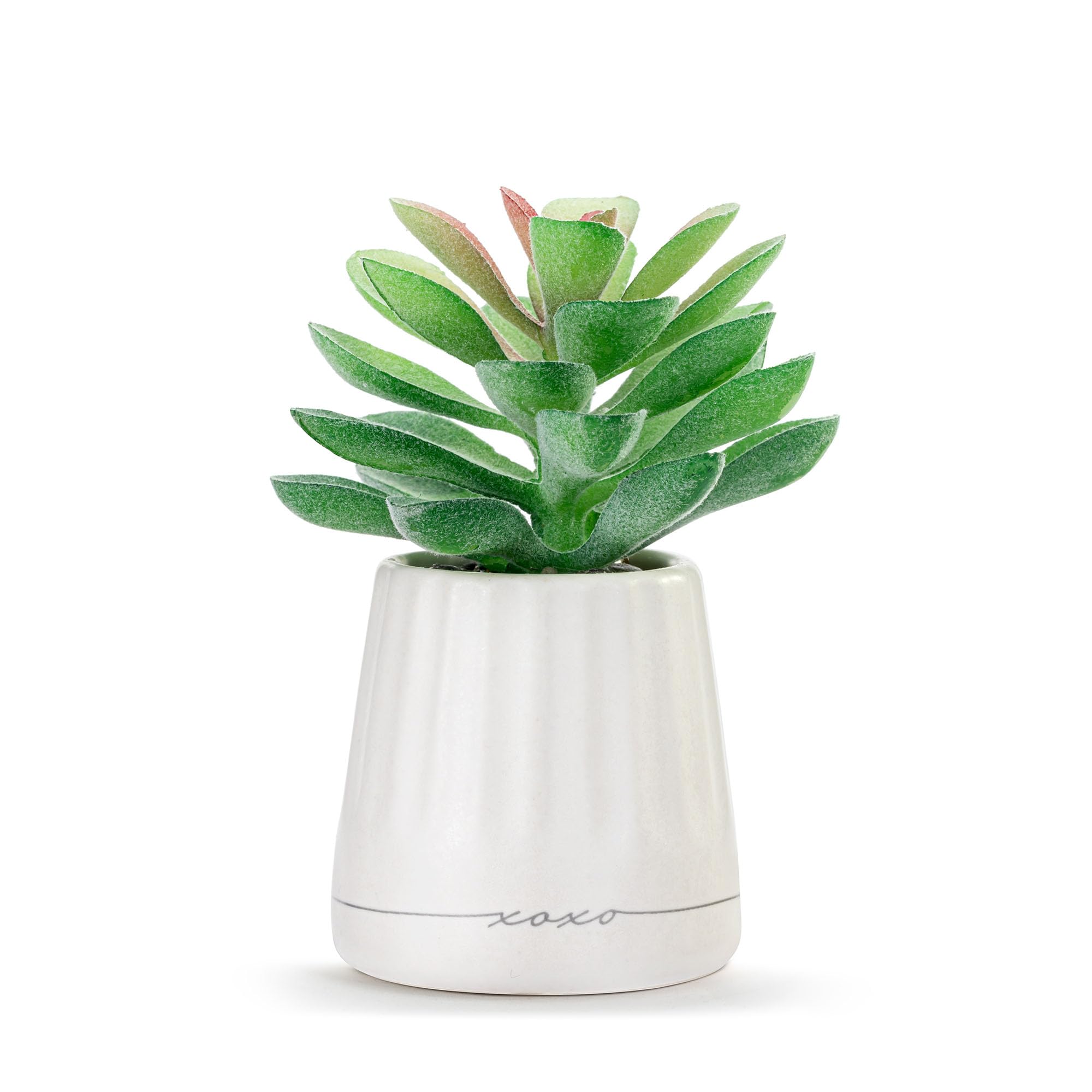 DEMDACO XO Just Because Modern Design White 2 x 1.5 Stoneware Artificial Mini Succulent