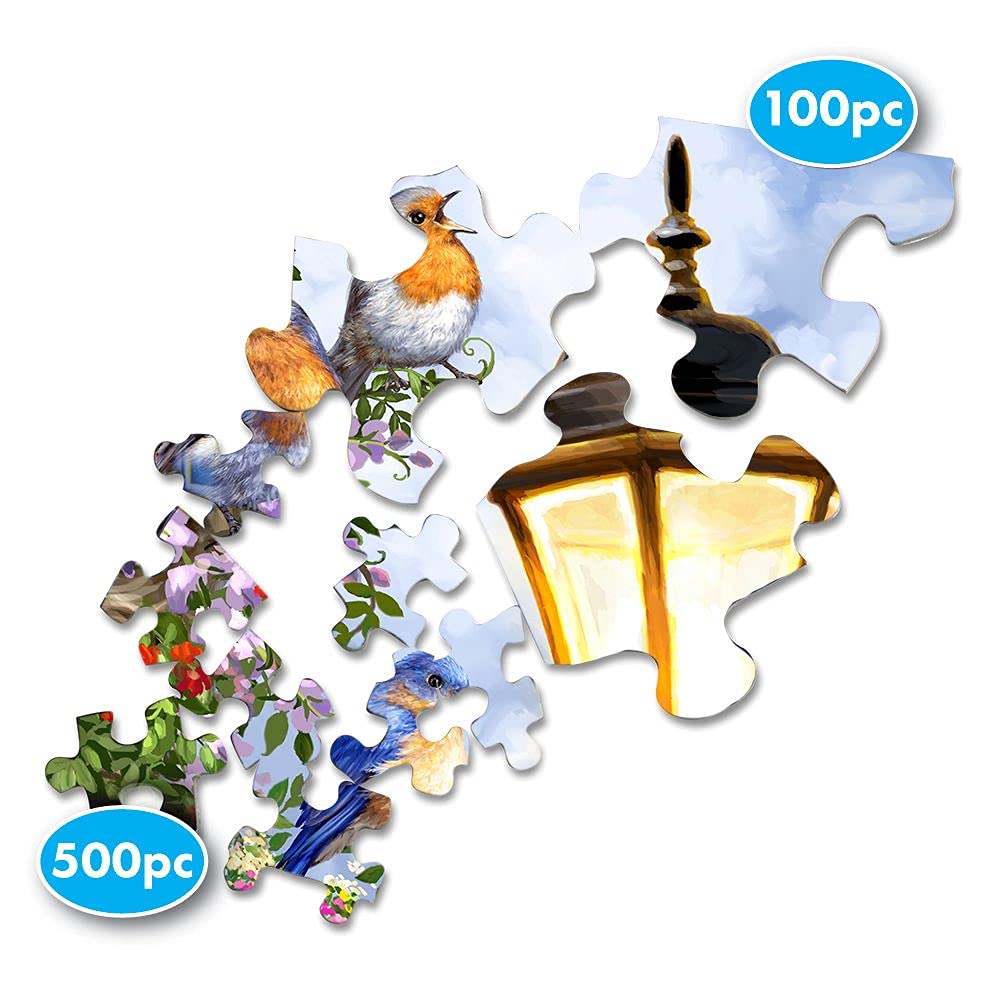 SONG OF SUMMER 100 PC